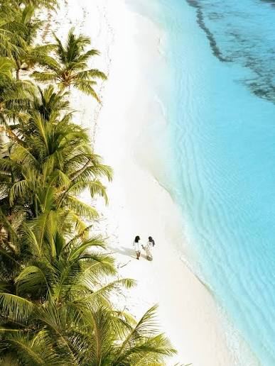 Palms leaning over a white Kondey beach where two people walk beside a turquoise lagoon